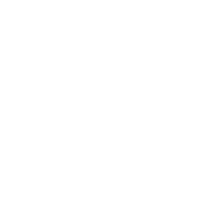 荣誉项目